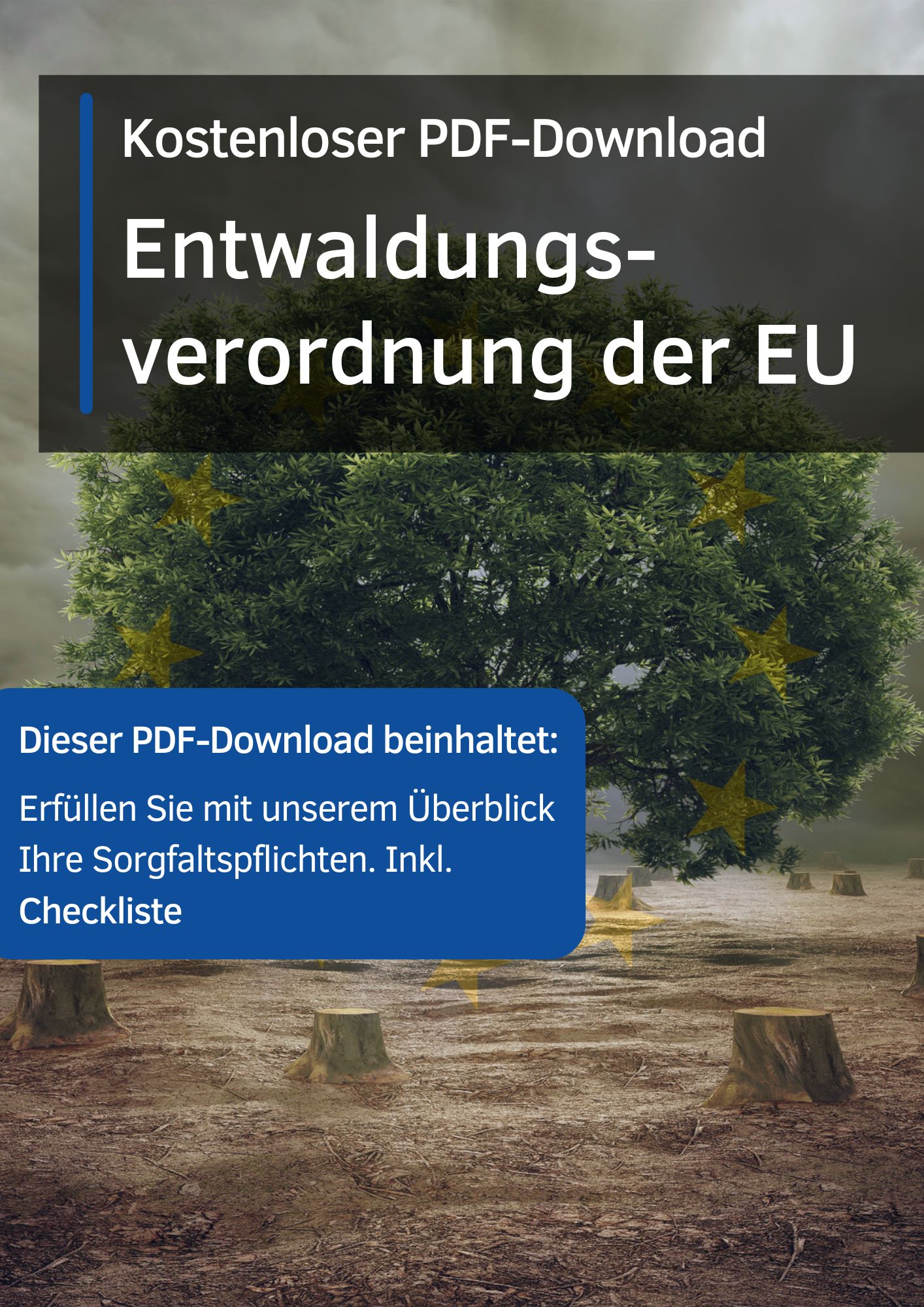 Entwaldungsverordnung-PDF-Download.jpg