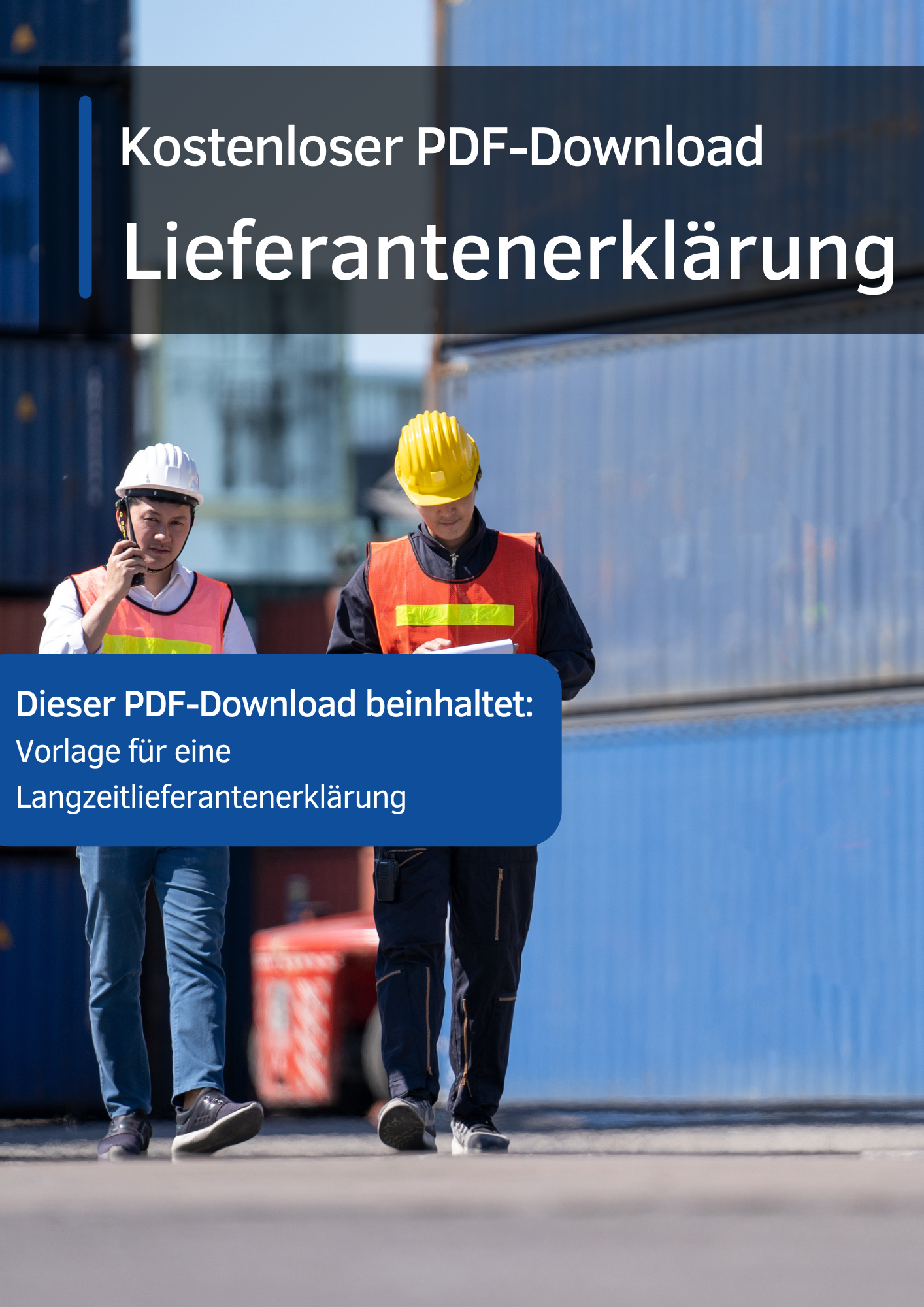 Lieferantenerklaerung-PDF-Download.png