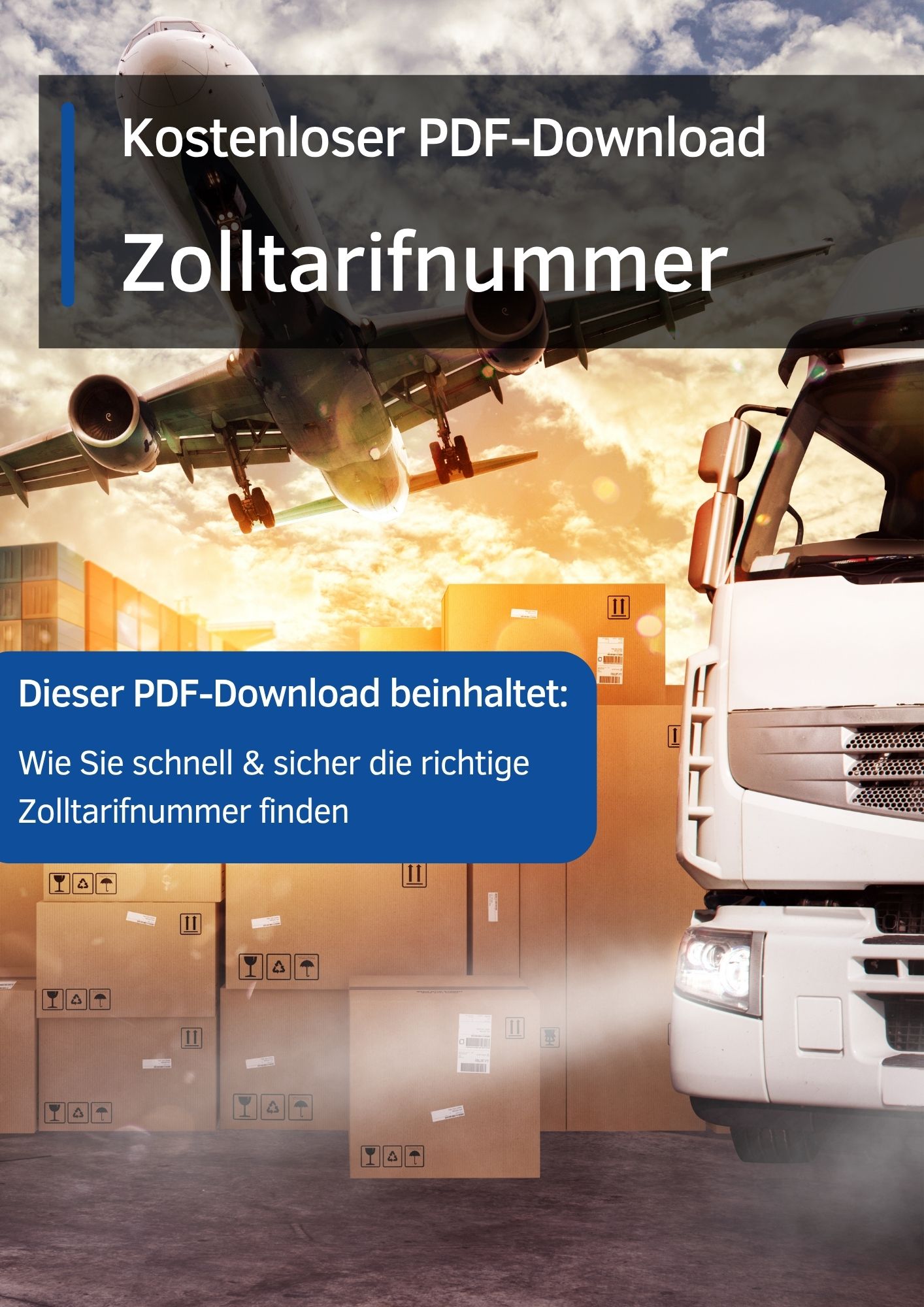 Zolltarifnummer-PDF-Download.jpg
